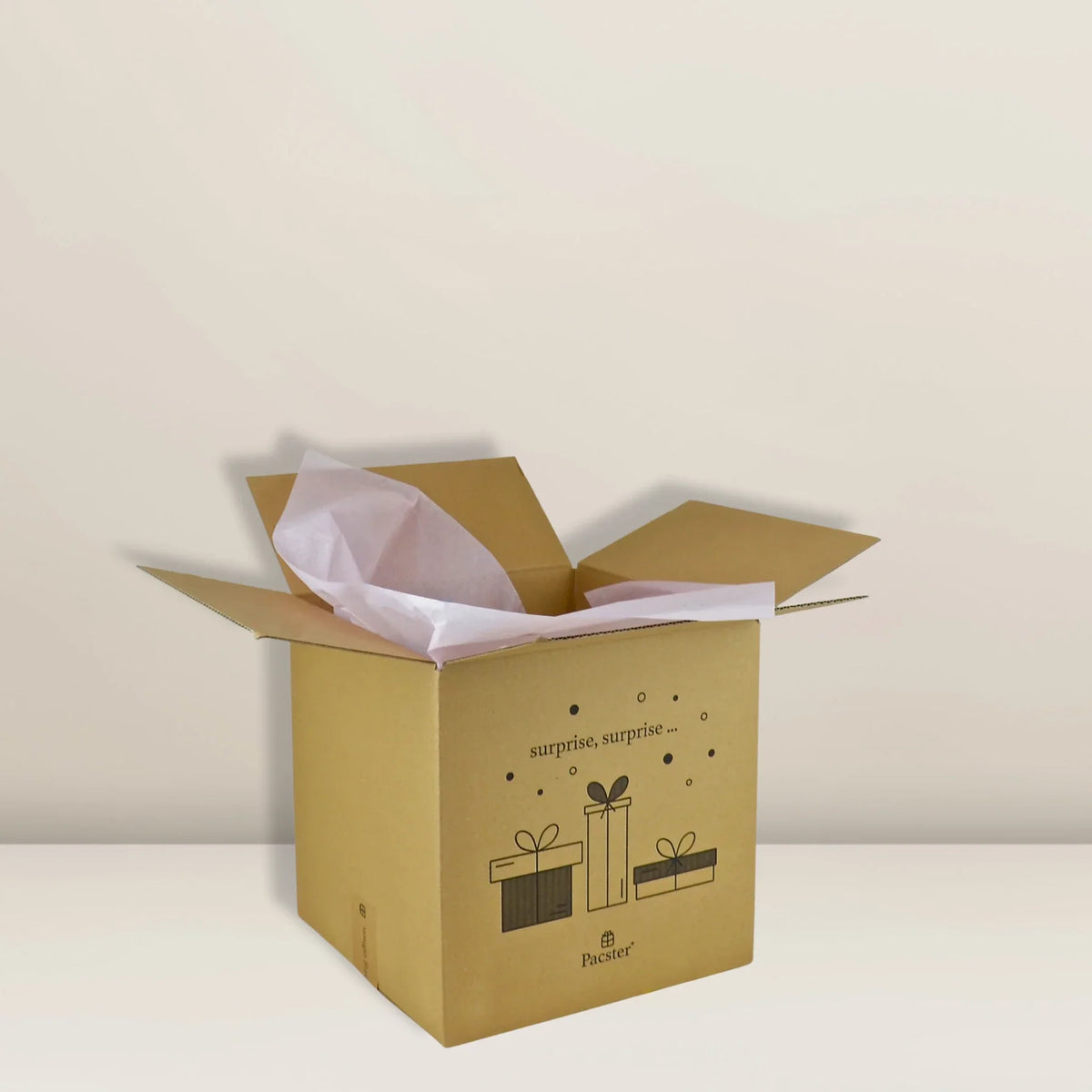 Ballonbox XXL (750 x 400 x 500)
