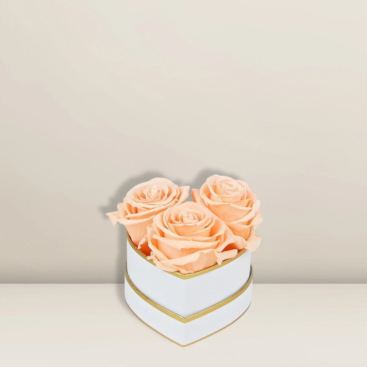 Infinity Rose Apricot