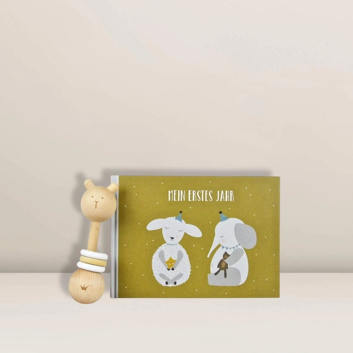 Babys erstes Jahr | Geschenkset