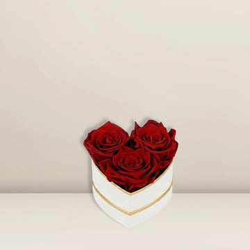 3er Rosen Herz – Weiß & Rot | Infinity Flowers