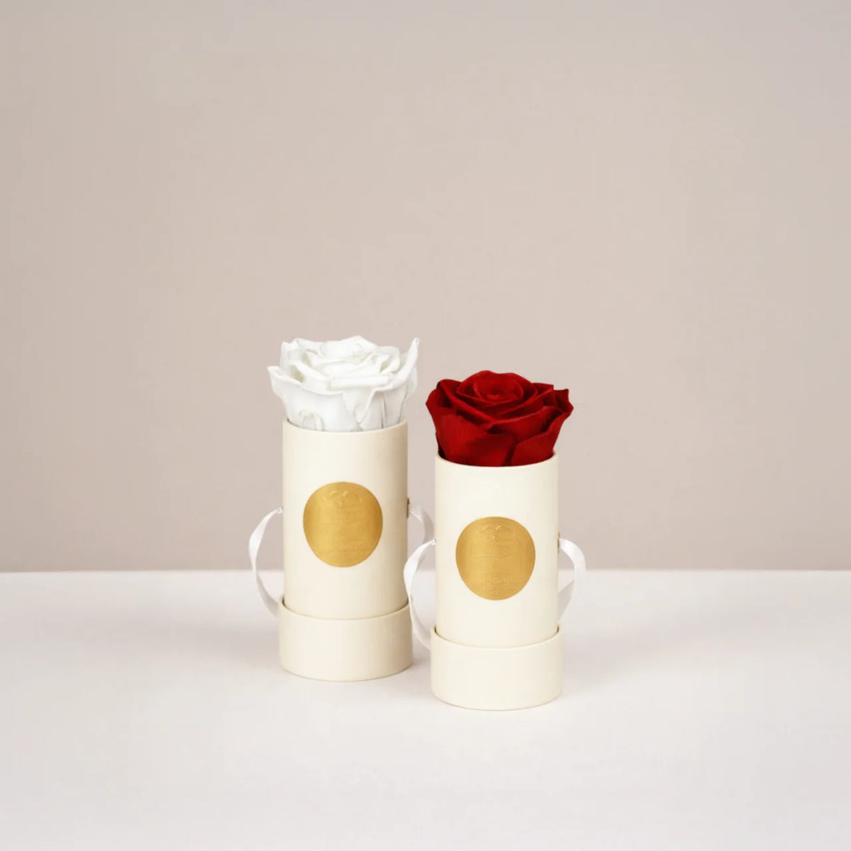 Infinity Rosen von Pacster