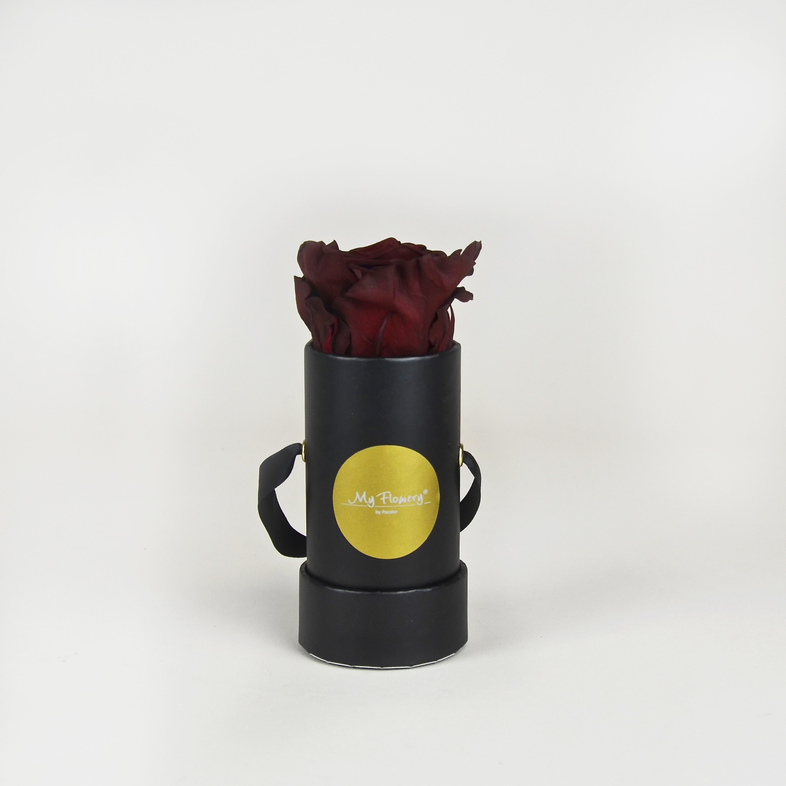 Burgundy Infinity Flowerbox schwarz - mini