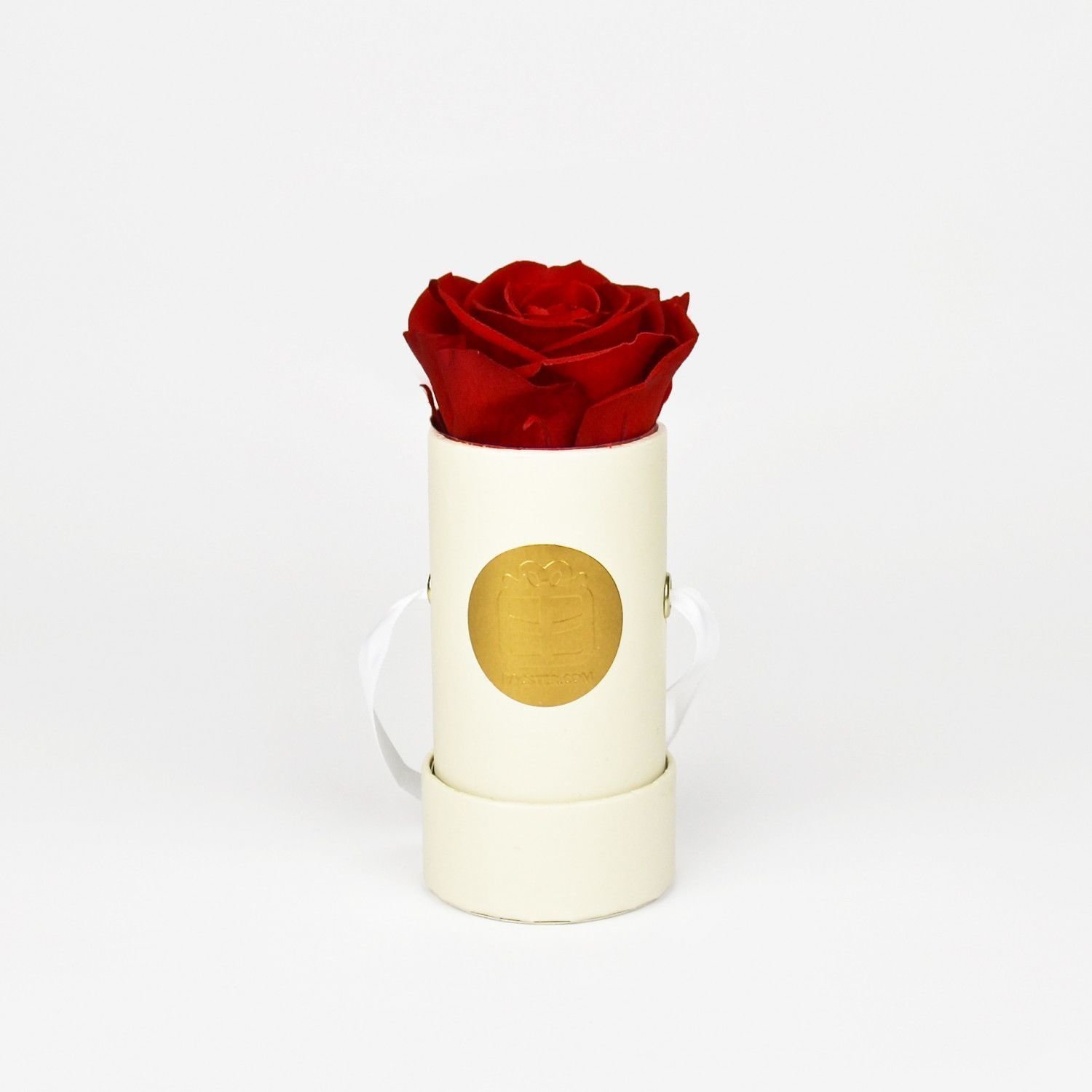 Rote Infinity Rose