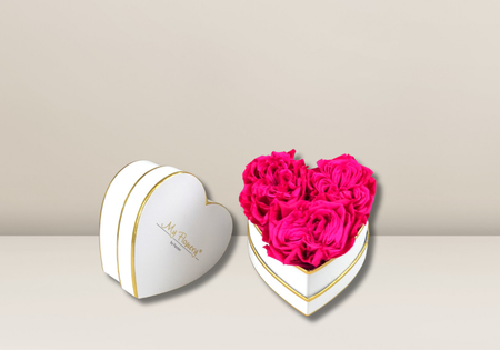 Flowerboxen