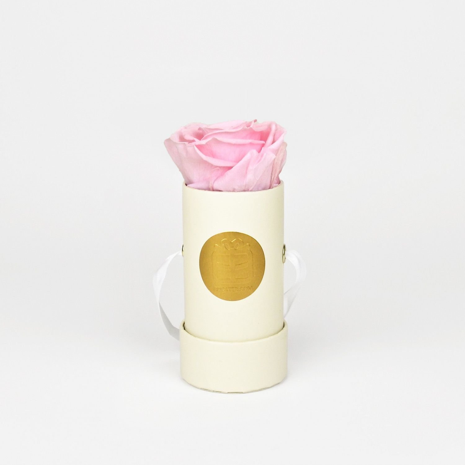 Rosa Infinity Rose