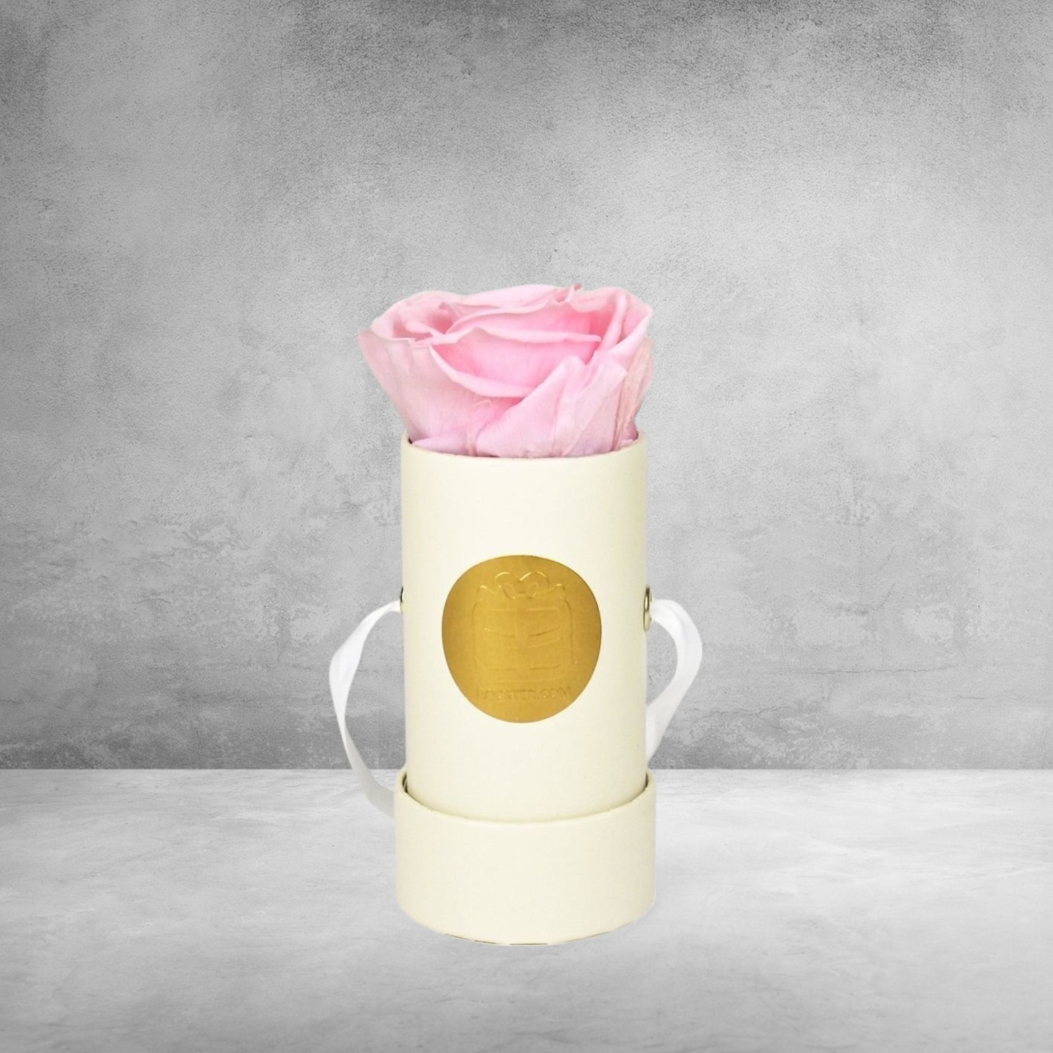 Rosa Infinity Rose Rosa Infinity Rose