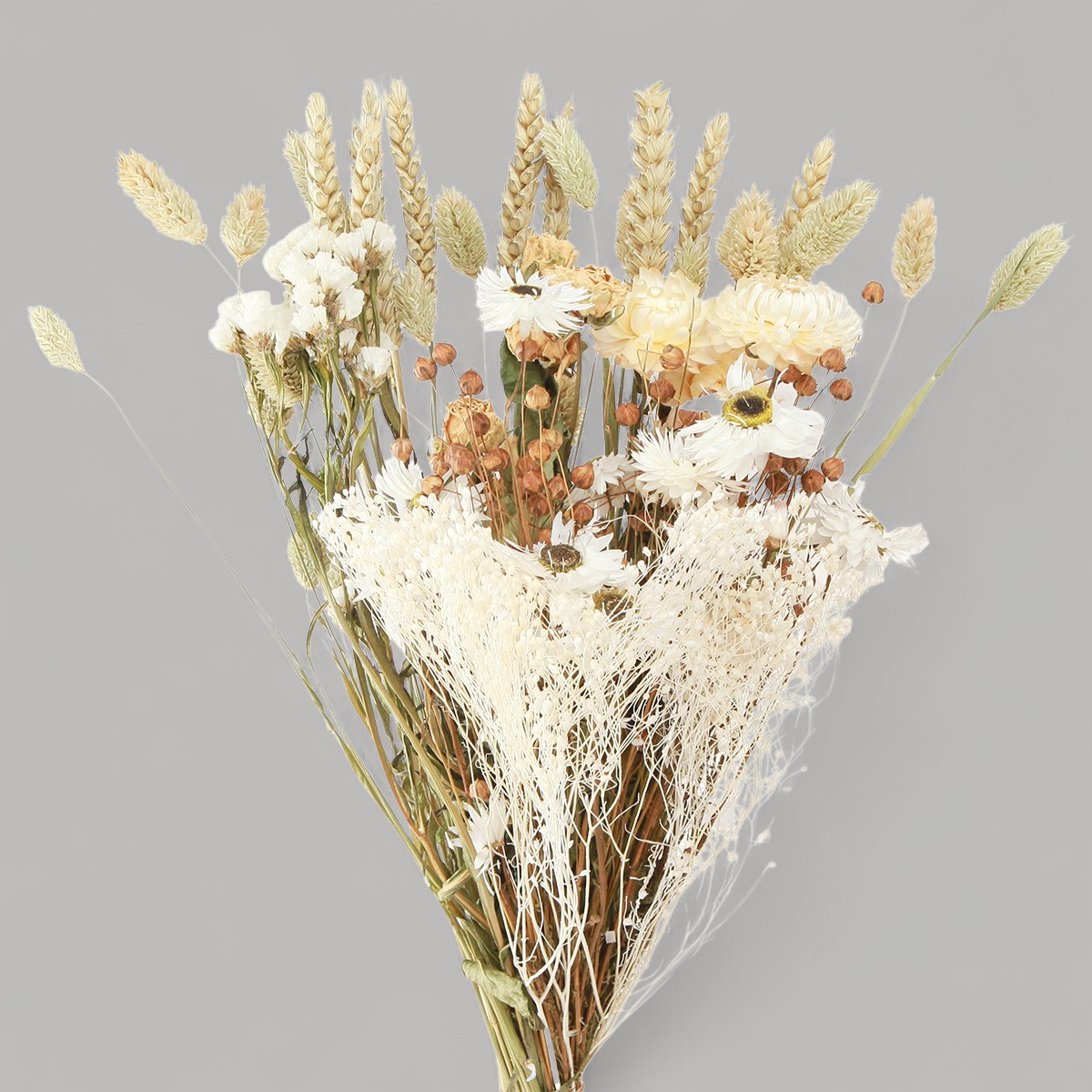 My Flowery Trockenblumenstrauß - Natürliche Eleganz