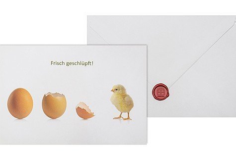 Frisch geschlüpft - Telegramm