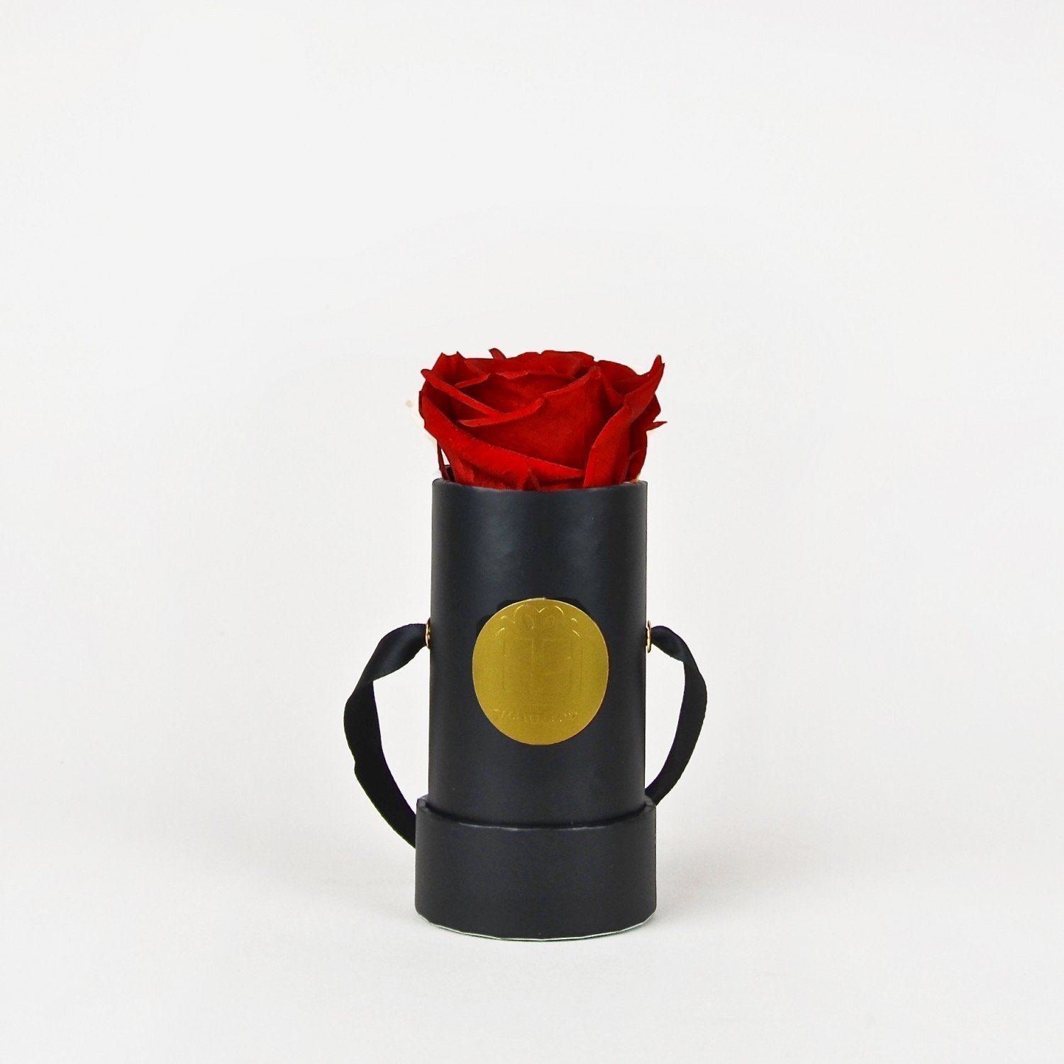 Rote Infinity Flowerbox schwarz - mini