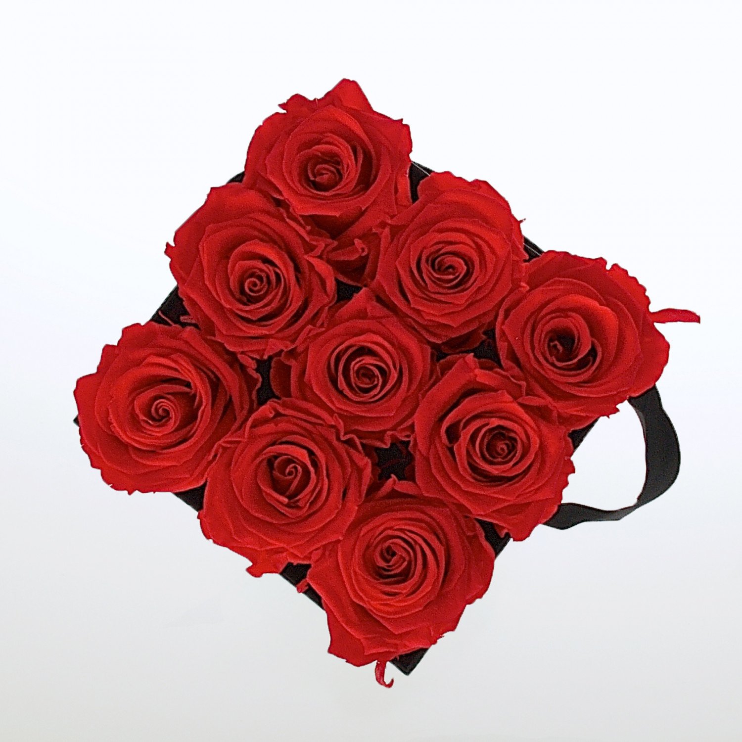 Flowerbox: Infinity Rosen