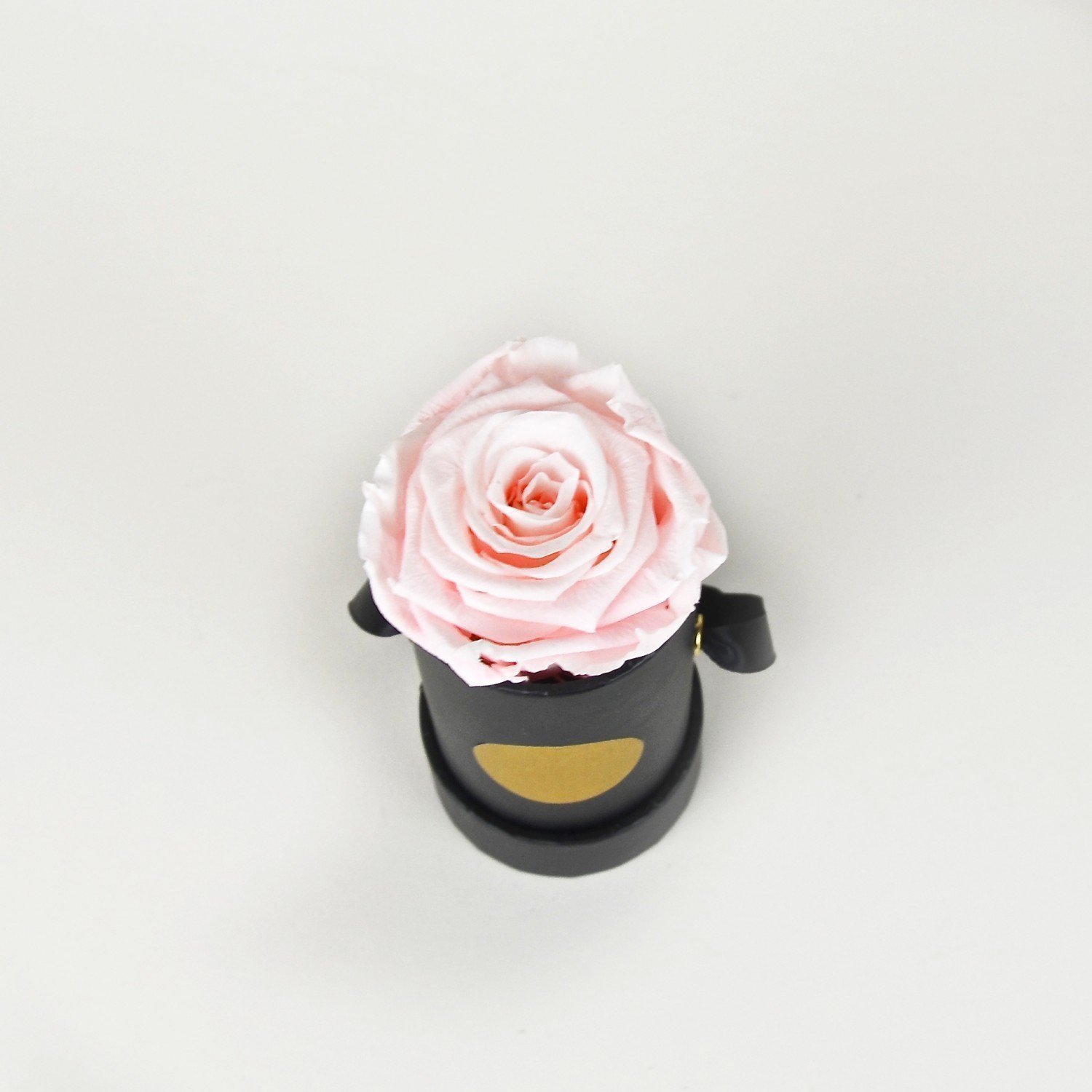 Rosa Infinity Flowerbox schwarz - mini