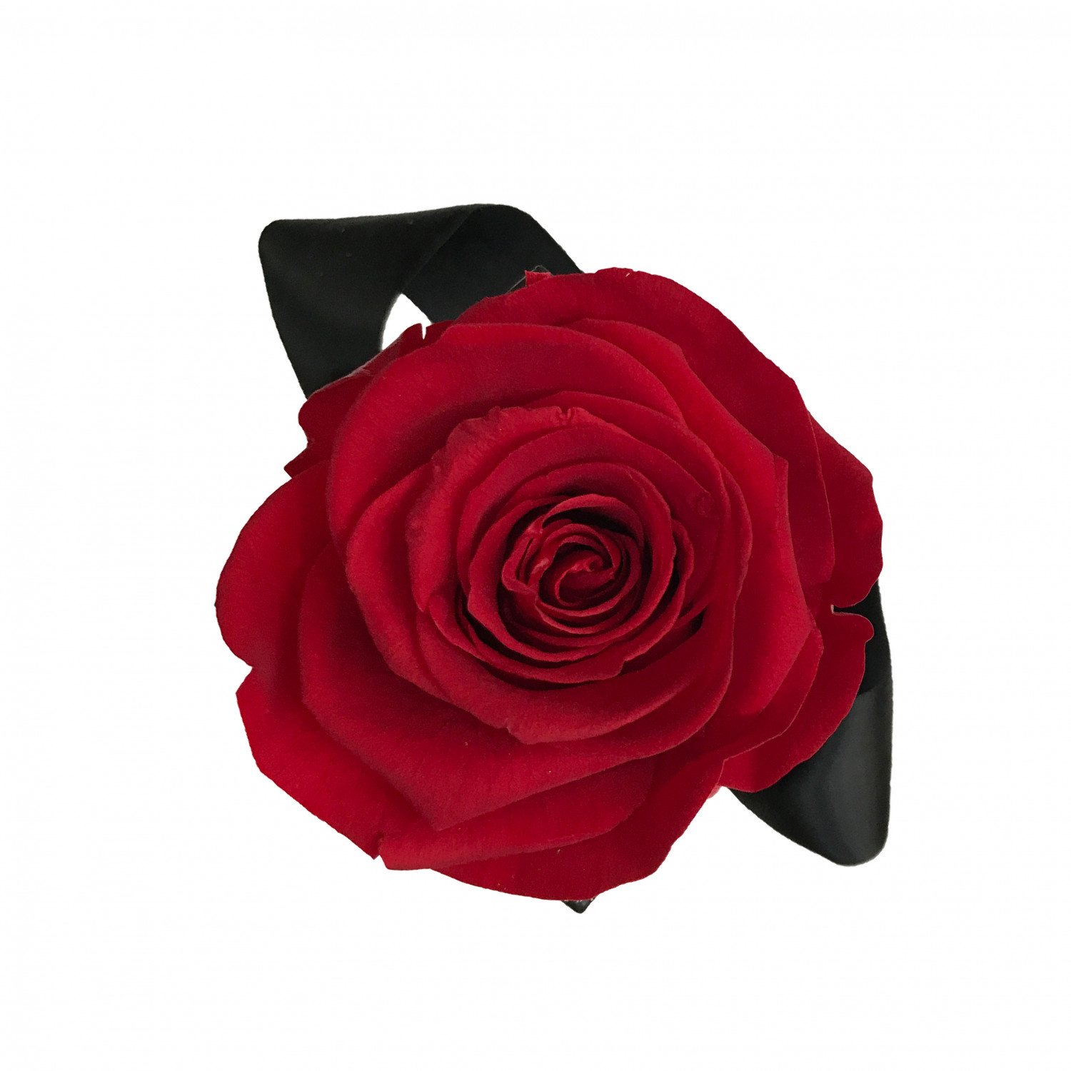 Rote Infinity Flowerbox schwarz - mini