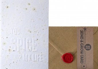 Grow Card: You Spice Up my life - Telegramm