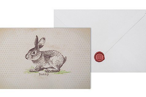 Bunny - Telegramm