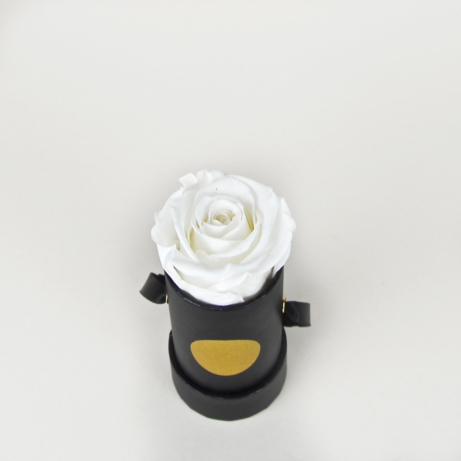 Weiße Infinity Flowerbox