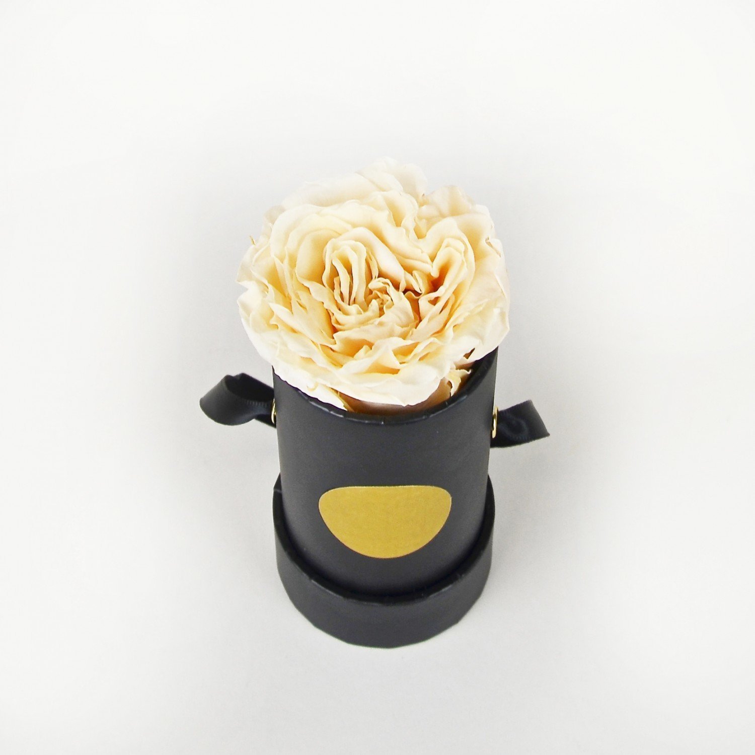 Apricot Infinity Flowerbox mini
