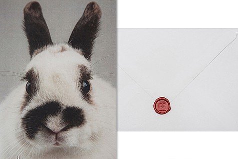 Mein Hase - Telegramm