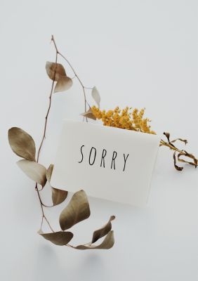 Sorry Geschenke